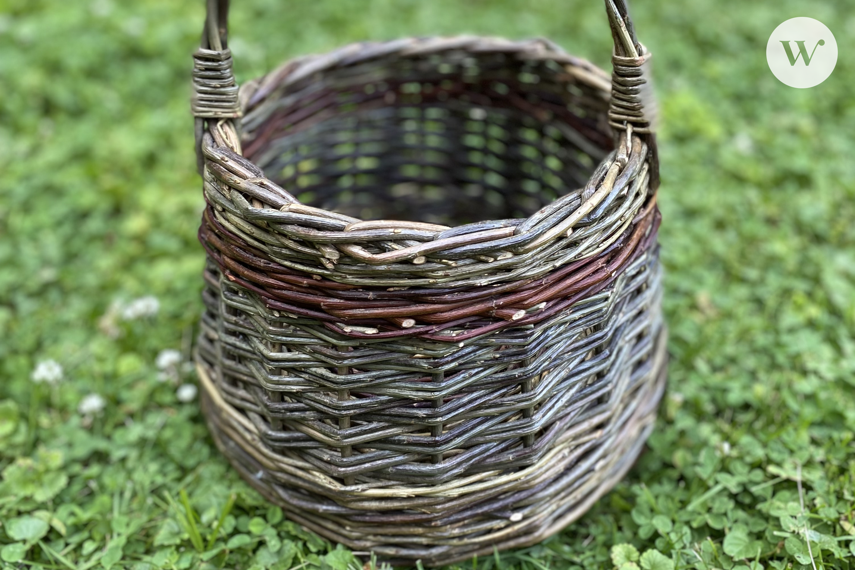 A photograph of a woven basket outside on the grass.