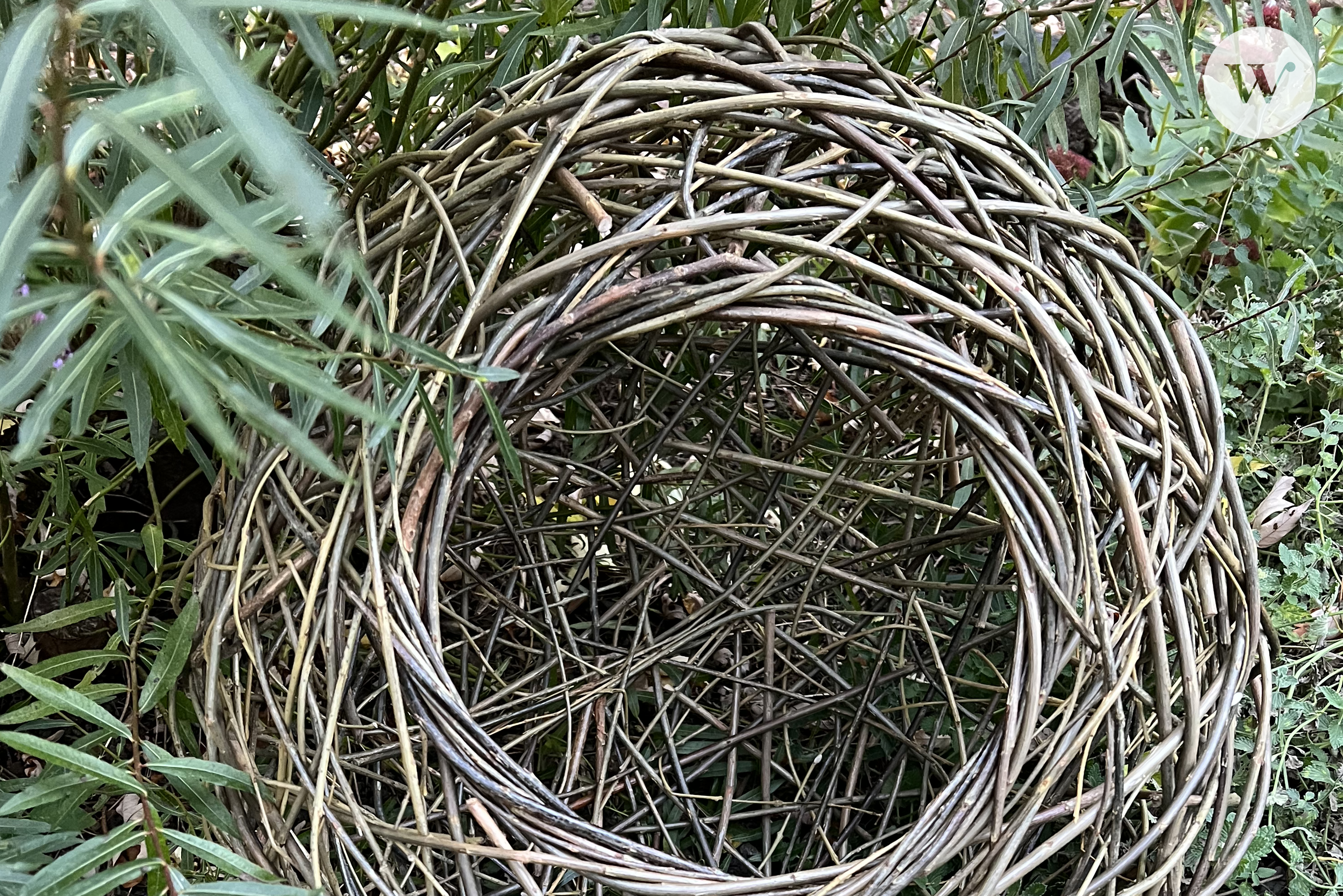 A photograph of a round willow sculpture.