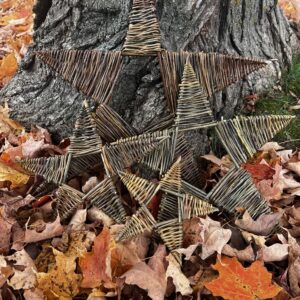 Trees and Stars - Woven Willow Thursday 12Nov26, 2:00 - 6:00pm